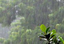 मनसुनको अवस्था कमजोर, यी प्रदेशमा मध्यम वर्षाको सम्भावना