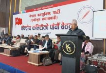 रास्वपा विचार, सिद्धान्त, कार्यदिशा केही पनि प्रष्ट नभएकाे पार्टीः माधव नेपाल