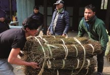 अलैंचीभन्दा महँगो भयो चिराइतो, प्रतिमन १० हजार रूपैयाँ बढ्यो