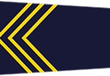 एक लाख घुससहित बुढानिलकण्ठका प्रहरी वरिष्ठ हवल्दार पक्राउ