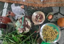 काठमाडाैंमा गोरुकाे सुकुटी चढाउँदै छौवा मनाए चाम्लिङ राईहरुले