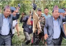 त्रिवि परिसरमा पार्क बनाउन श्रमदान, मन्त्री पुनले सहयोगका लागि गरे आग्रह