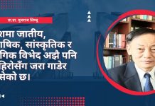 नेपालको जेनजी आन्दोलन, शक् डक्ट्रिन र पहिचानको बहस